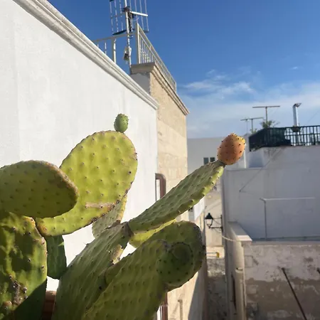 Сasa de vacaciones Il Nido Tra Le Mura Polignano